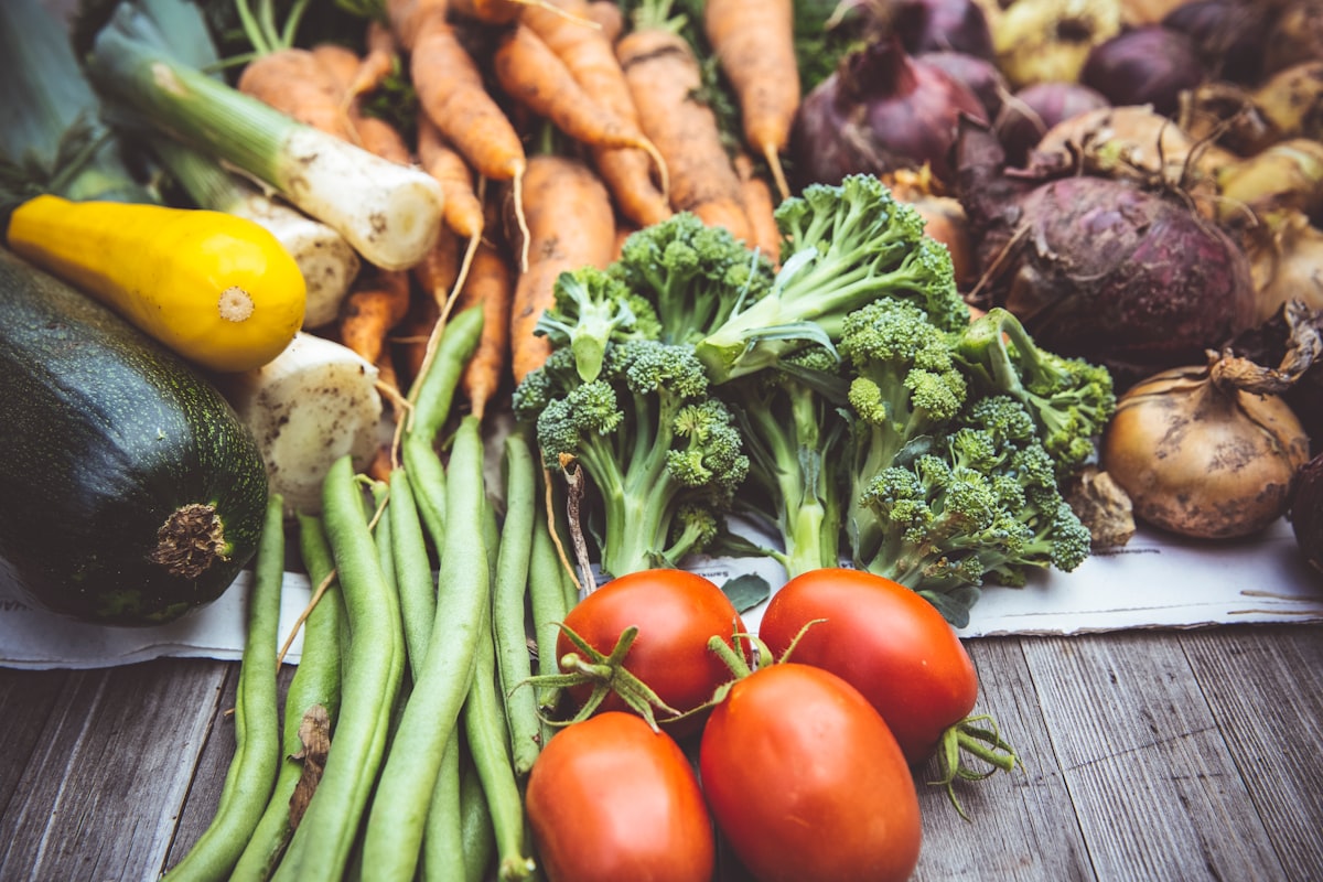 Understanding macronutrients: proteins, carbohydrates, and fats